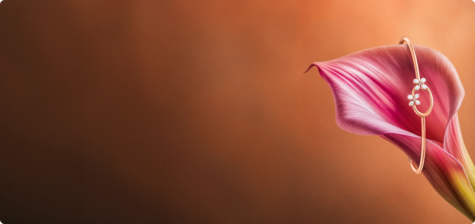 Elegant flower with jewel-toned petals symbolising the marketplace launch